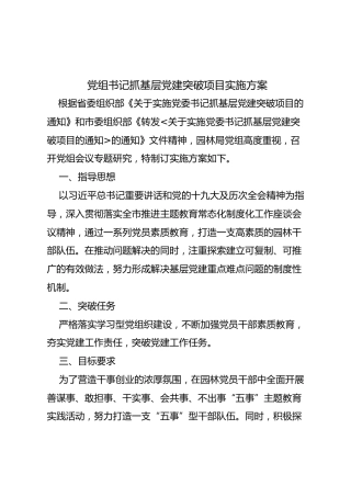 书记抓基层党建突破项目实施方案