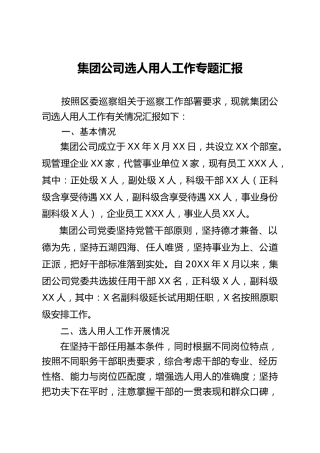 公司选人用人专项报告（4000字）
