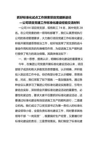 公司项目党建工作标准化建设经验交流材料（3800字）