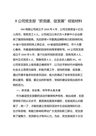 党建经验：公司党支部“抓党建、促发展”经验材料