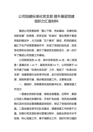 公司创建标准化党支部 提升基层党建组织力汇报材料