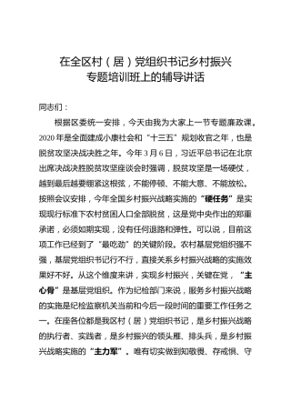 村党组织书记乡村振兴专题培训班讲课稿（13000字）