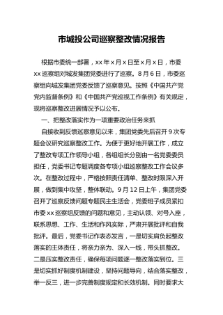 公司巡察整改情况报告（19000字）