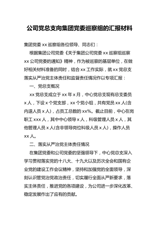 公司党总支向集团党委巡察组的汇报材料（4200字）