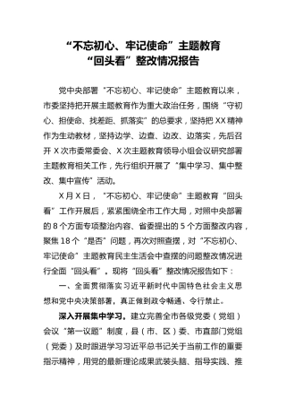 主题教育回头看整改情况报告（6100字）