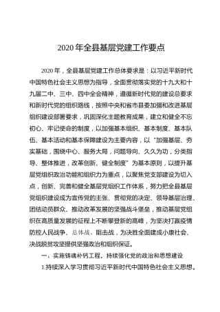 2020年全县基层党建工作要点（9800字）