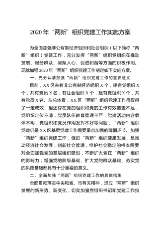 2020两新组织党建工作实施方案