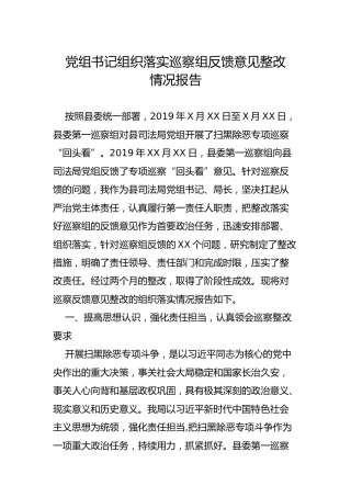 党组书记组织落实巡察组反馈意见整改情况报告（司法）