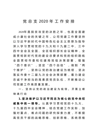 党总支2020年工作计划安排（公司支部4000字）