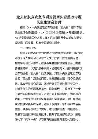 党支部脱贫攻坚专项巡视回头看整改专题民主生活会总结