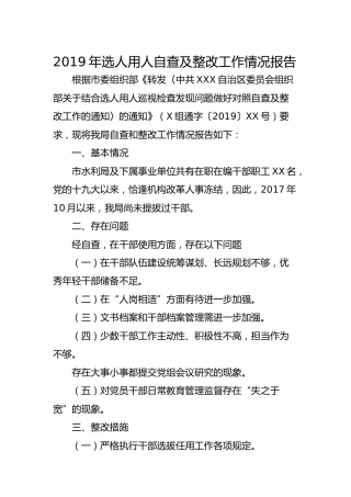 2019年选人用人自查及整改工作情况报告