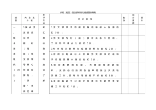 党支部标准化建设百分细则表格2个