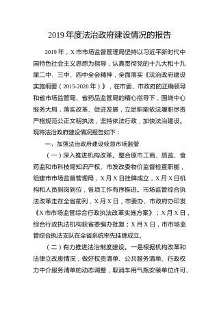 2019年度法治政府建设情况的报告（5000字）