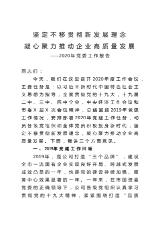 2020年党委工作报告（公司党建工作报告）