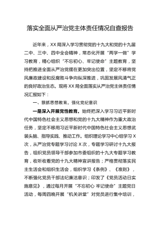 落实全面从严治党主体责任情况自查报告5000字