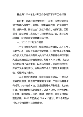 林业系统2020年上半年工作总结及下半年工作打算2篇