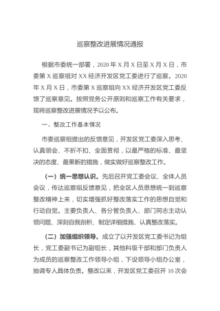 巡察整改进展情况通报1万字