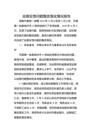 巡察反馈问题整改落实情况报告9700字
