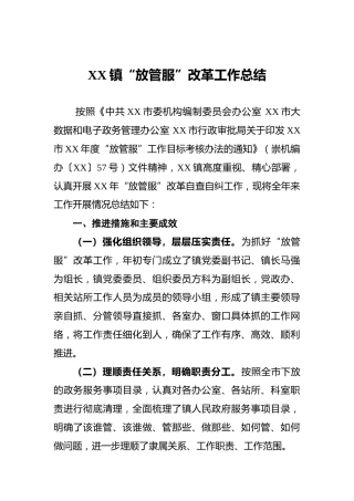 乡镇“放管服”改革工作总结