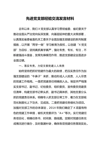 先进党支部经验交流发言材料1600字