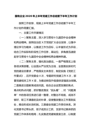 公司企业2020年上半年党建工作总结暨下半年工作计划2篇