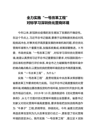 对标先进学习XX优化营商环境