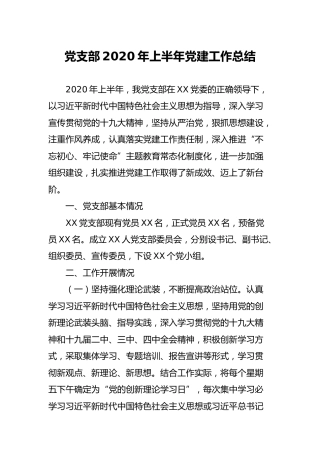 党支部2020年上半年党建工作总结2600字
