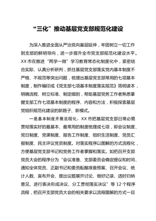 党建经验：三化推动基层党支部规范化建设