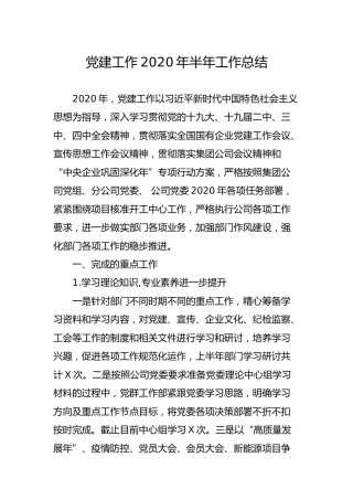 党建工作2020年半年工作总结（公司3200字）