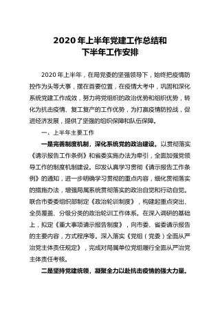 2020年上半年党建工作总结和下半年工作计划2700字