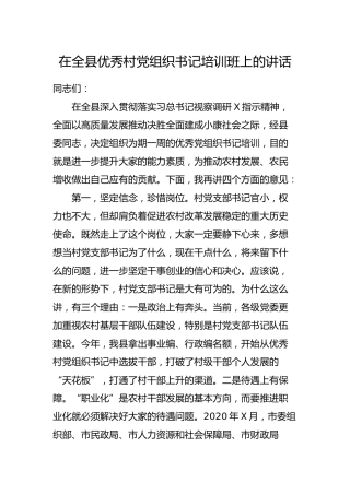 在全县优秀村党组织书记培训班上的讲话3200字