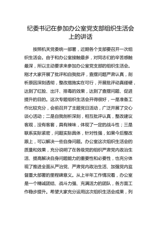纪委书记在参加办公室党支部组织生活会上的讲话4000字