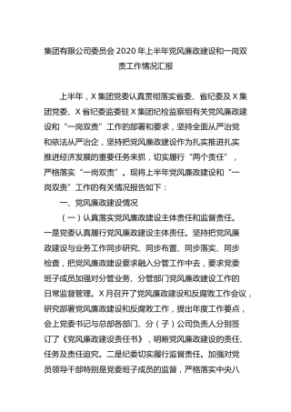 集团公司2020年上半年党风廉政建设和一岗双责工作情况汇报