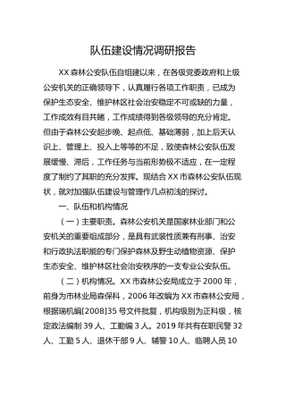 队伍建设情况调研报告（公安）