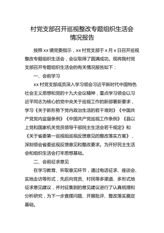 村党支部召开巡视整改专题组织生活会情况报告