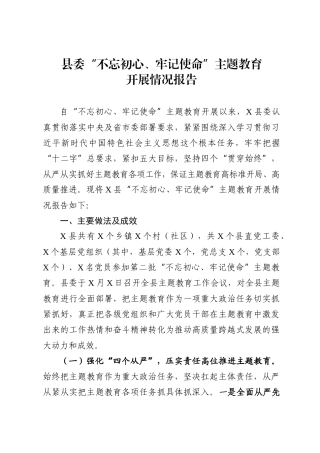 主题教育开展情况报告（县委8800字）