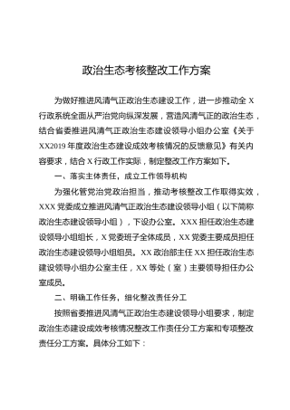 政治生态考核整改工作方案（2300字）