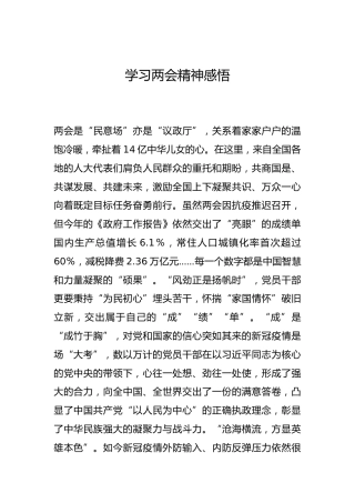 -学习两会精神感悟--_1
