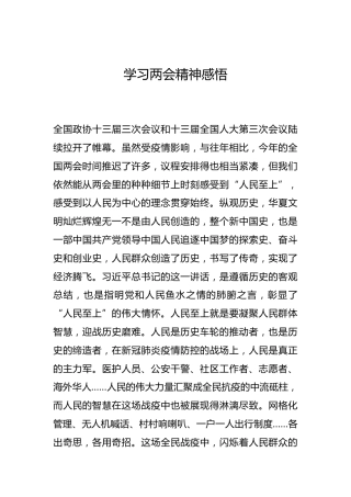 -学习两会精神感悟--