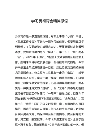 -学习贯彻两会精神感悟--_0