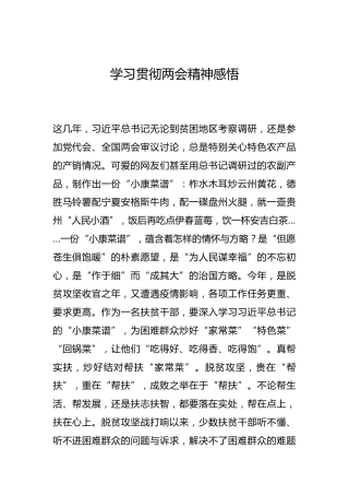 -学习贯彻两会精神感悟--