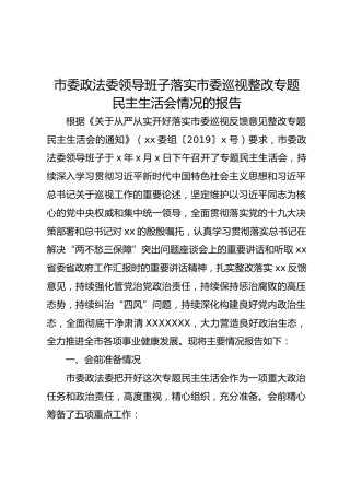 巡视整改专题民主生活会情况报告（4600字）