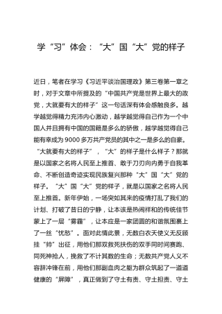 -学“习”体会：“大”国“大”党的样子--