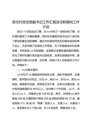 新任村党支部副书记工作汇报及任职期间工作计划