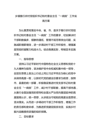 乡镇推行农村党组织书记和村委会主任“一肩挑”工作实施方案