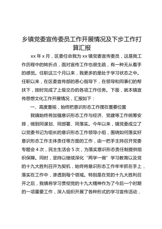 乡镇党委宣传委员工作开展情况及下步工作打算汇报