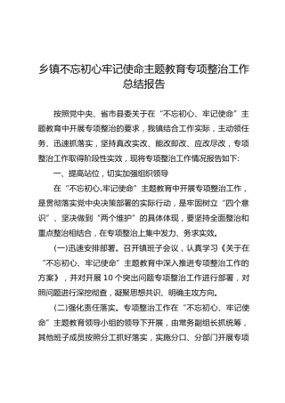 乡镇不忘初心牢记使命主题教育专项整治工作总结报告