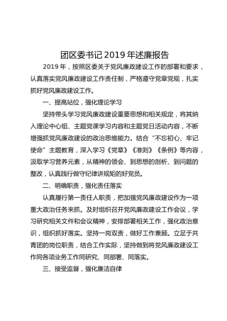 团区委书记2019年述廉报告