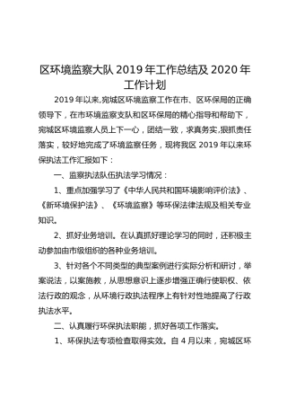 区环境监察大队2019年工作总结及2020年工作计划