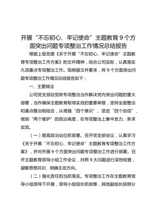 开展主题教育9个方面突出问题专项整治工作情况总结报告
